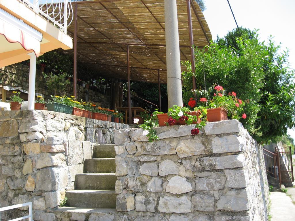 טיווט Apartments Olga מראה חיצוני תמונה
